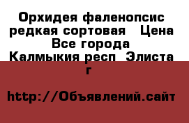 Орхидея фаленопсис редкая сортовая › Цена ­ 800 - Все города  »    . Калмыкия респ.,Элиста г.